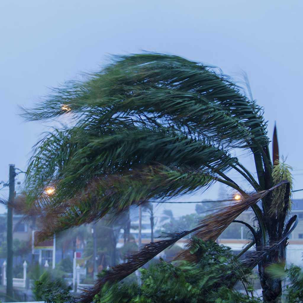centor-doors-hurricane-rated_0