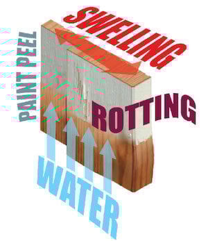 provia-frame-swellingrotting-graphic