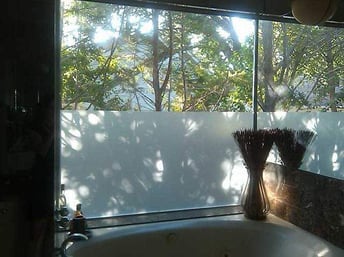 windowfilm1