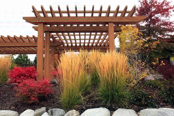 Pergola