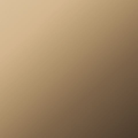 provia-glass-tint-solarbronze-bronze