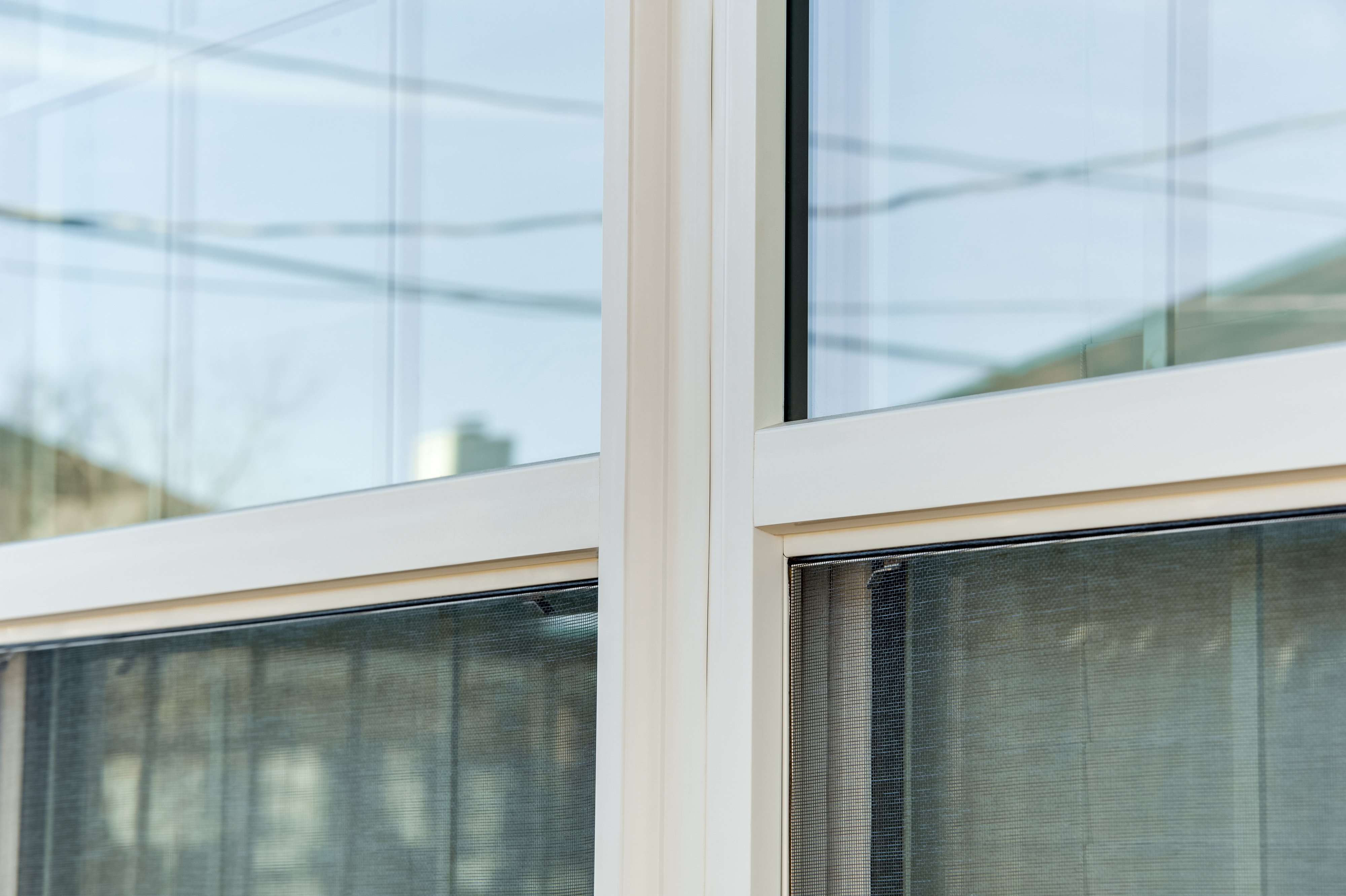 Window Frame
