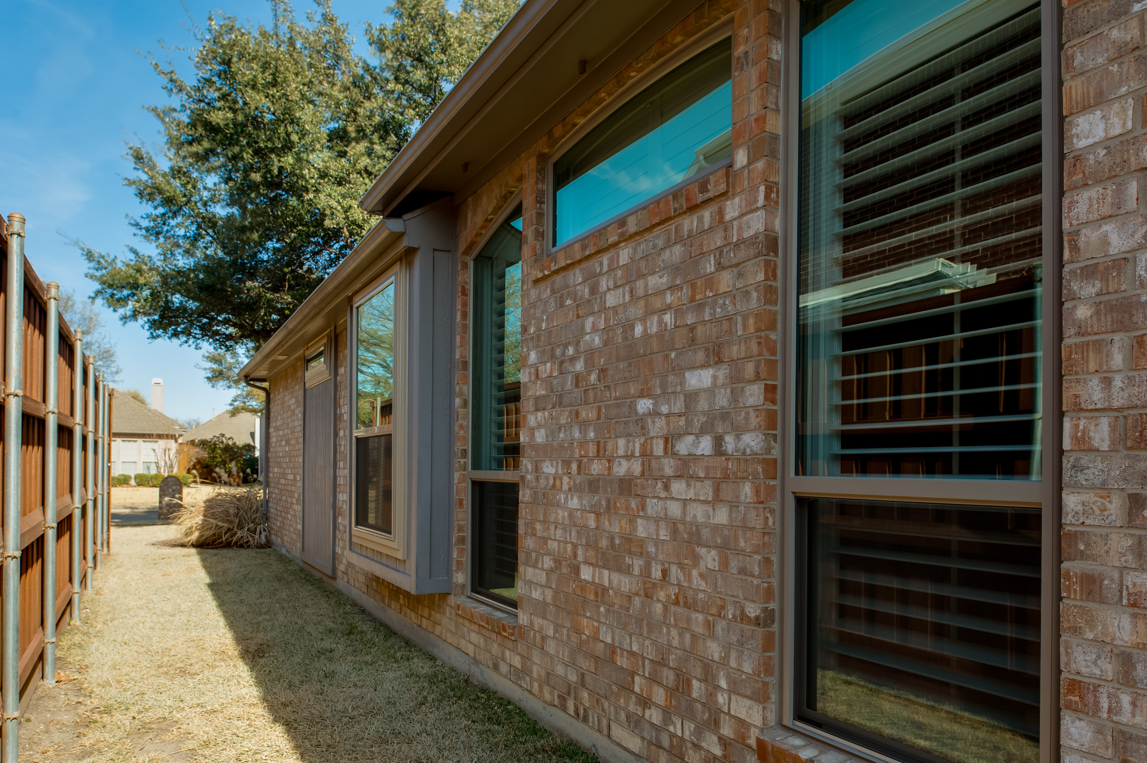 brennan-traditions-single-hund-side-view-window