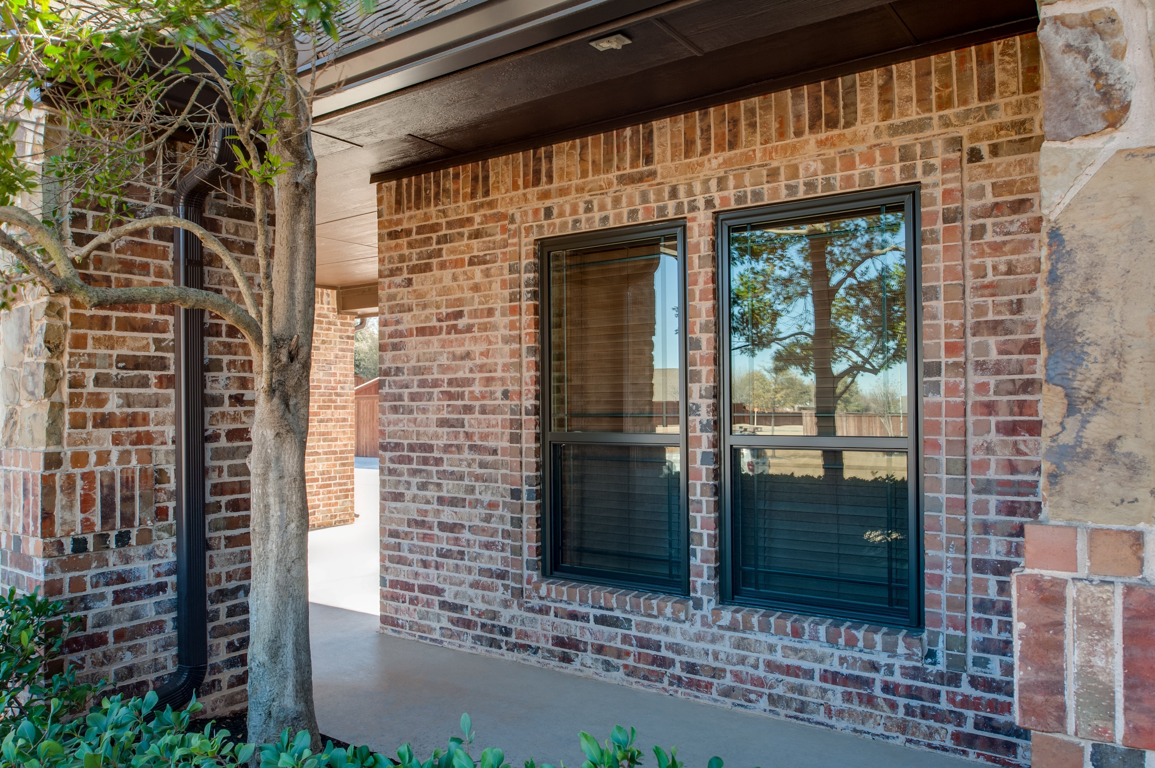 brennan-traditions-single-hung-side-by-side-windows-in-bronze