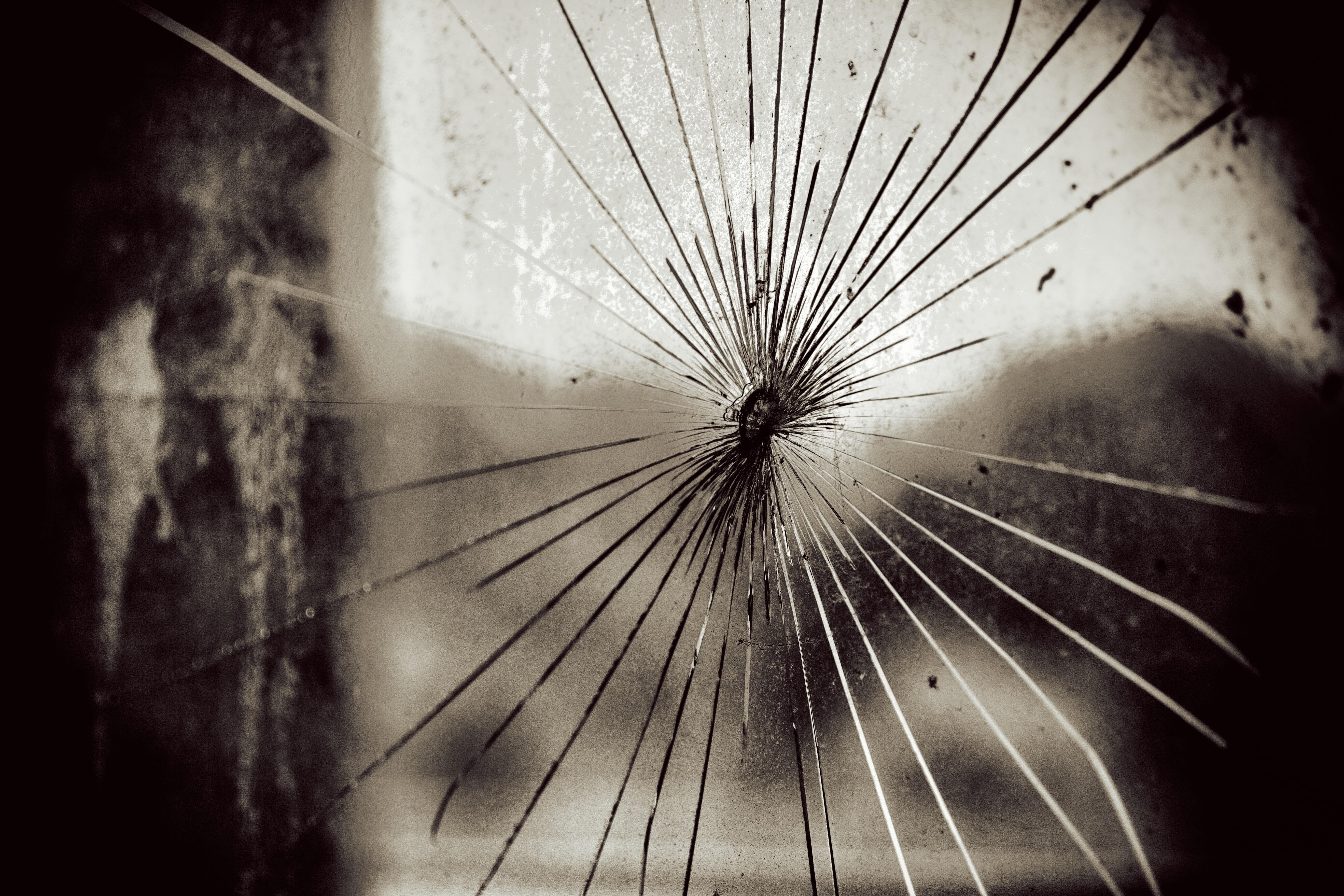 Image: Denny Muller (Unsplash)