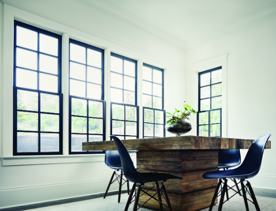 Jeld Wen double hung windows in black with colonial frames