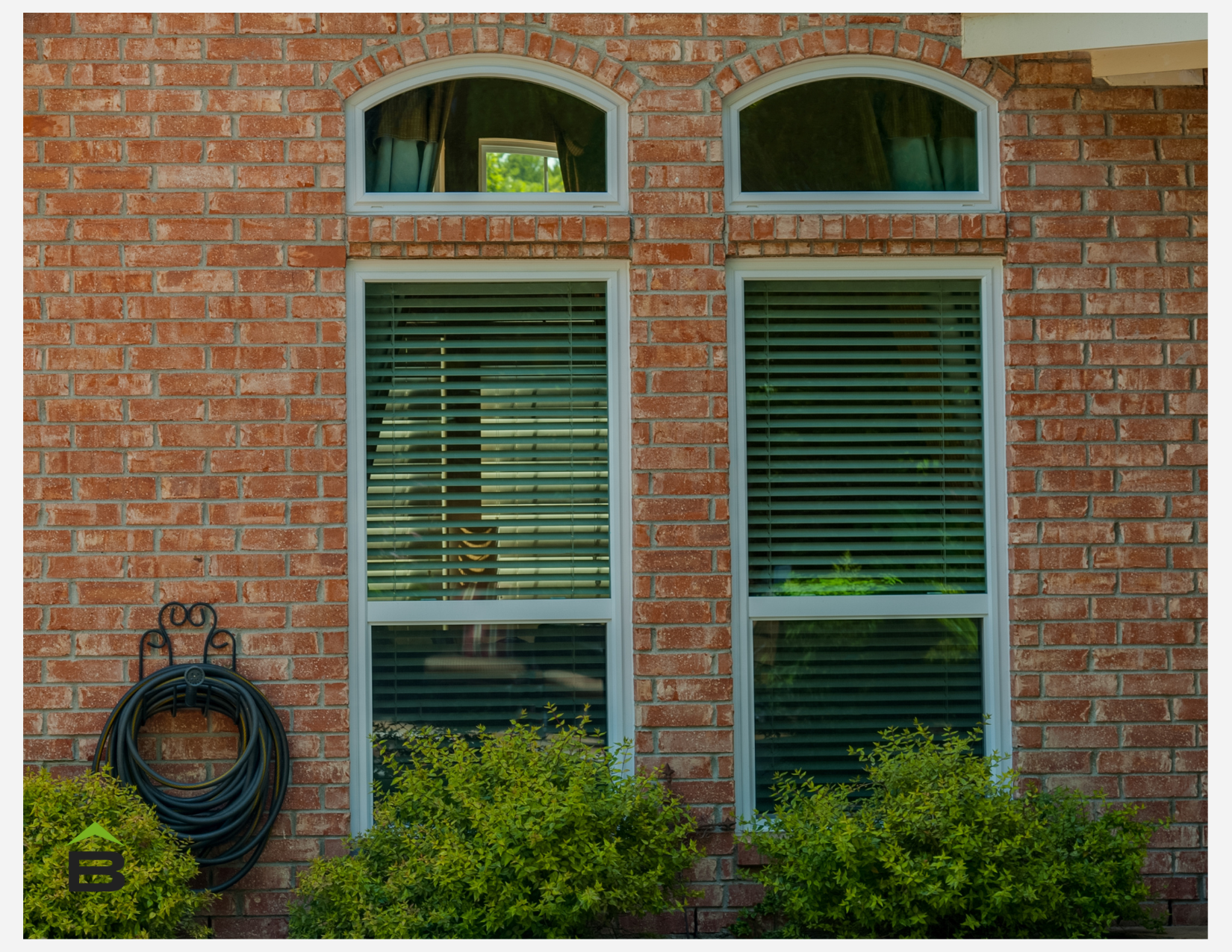 Solar Bear Eyebrow Windows
