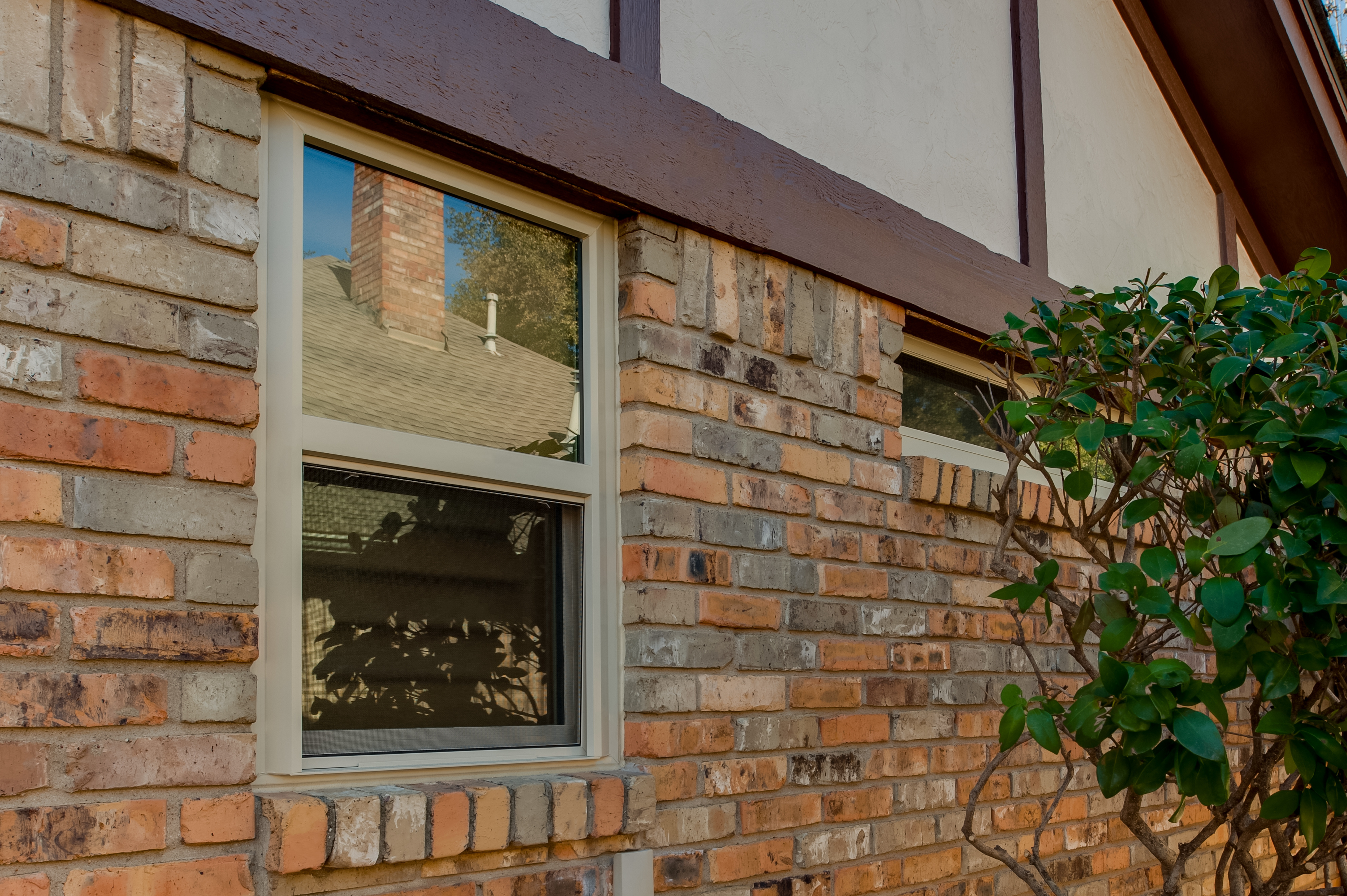 tan-brennan-signature-single-hung-windows