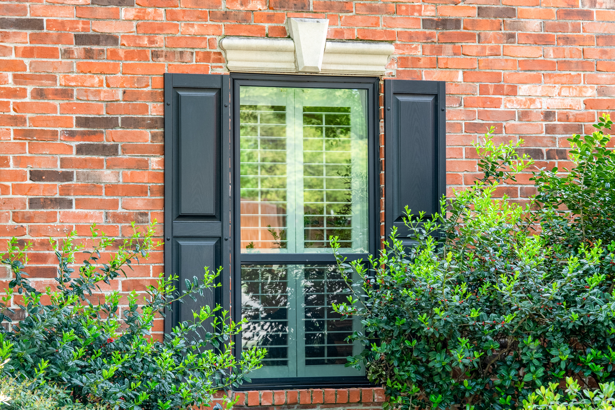 Window with Shutters