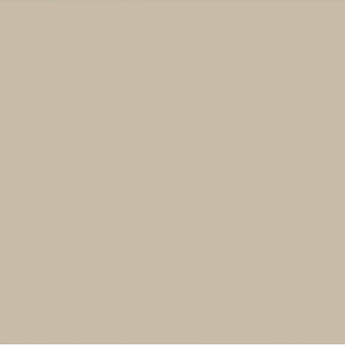 Bronze Tint