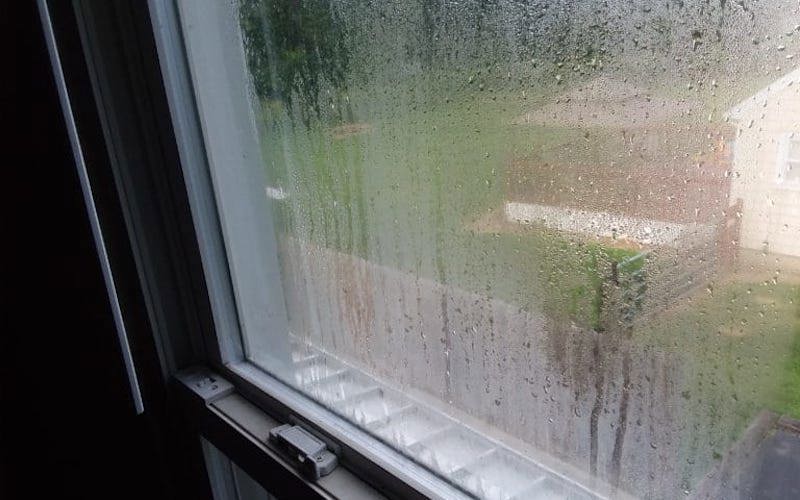 Is Condensation Between Window Panes a Problem?
