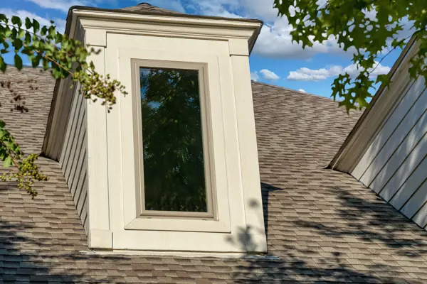 24" x 54" Picture Window