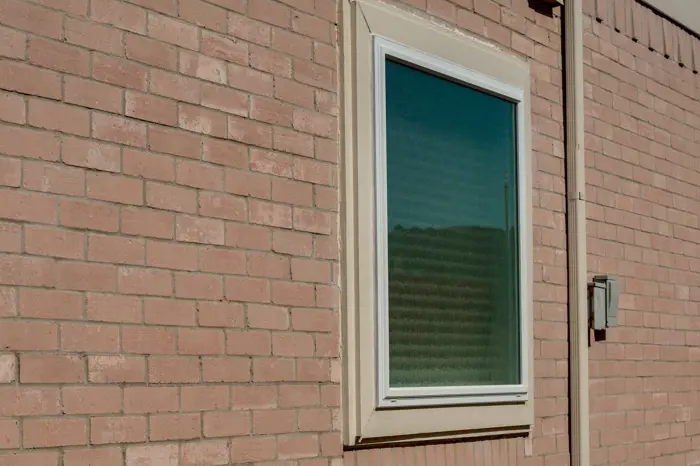 48" x 48" Solar Bear Privacy Picture Window