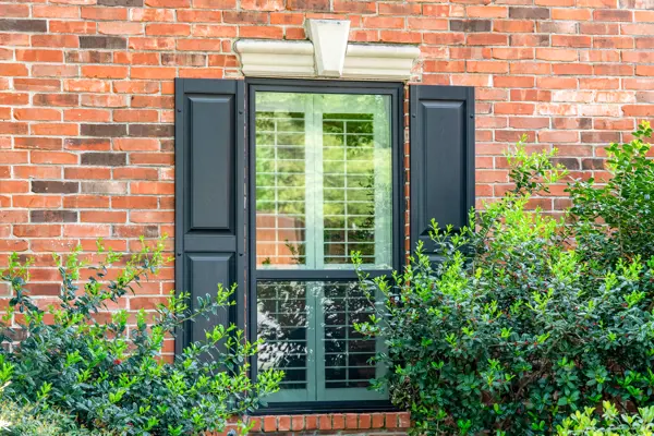 Window with Shutters