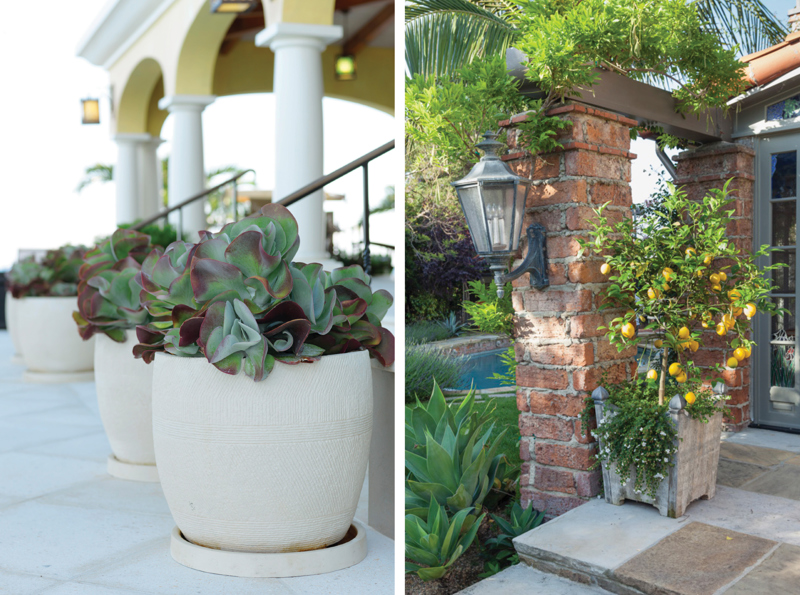 decorative containers front front entry