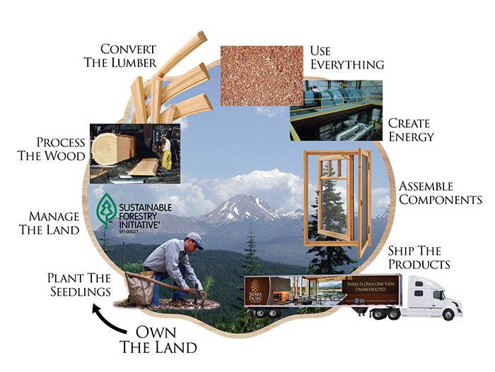 Illustration of Sierra Pacific's vertical integration business model.